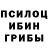 Галлюциногенные грибы прущие грибы Alex Kaskinov