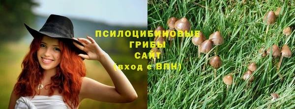 mix Алексин