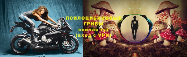 mix Алексин