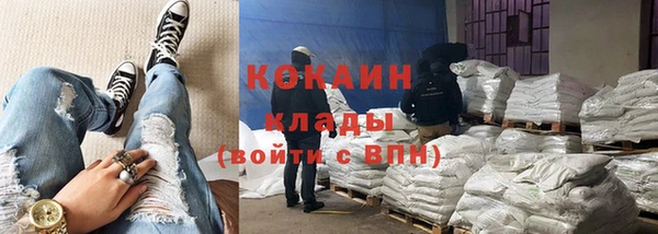 гидра Аркадак